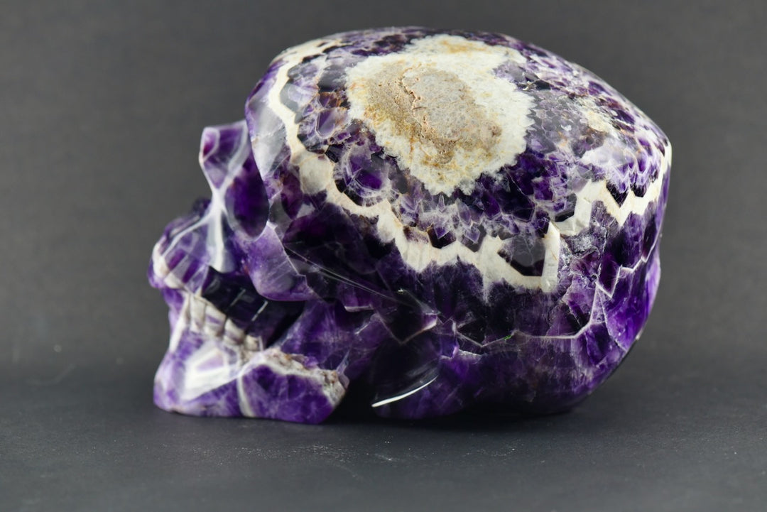 "Cartouche" Dream Amethyst Skull