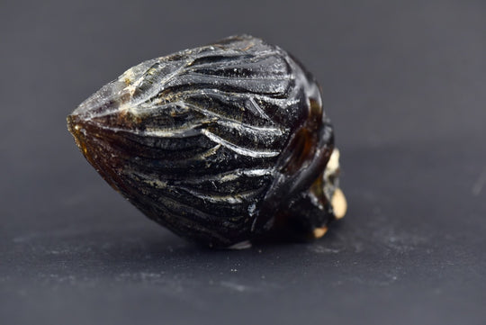 Amber Traveler Skull