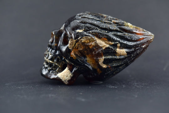 Amber Traveler Skull