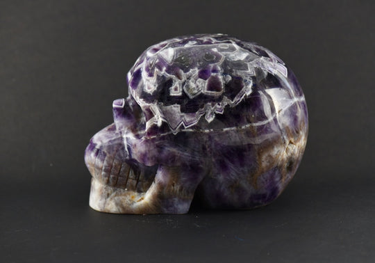 "Askaë" Dream Amethyst Skull