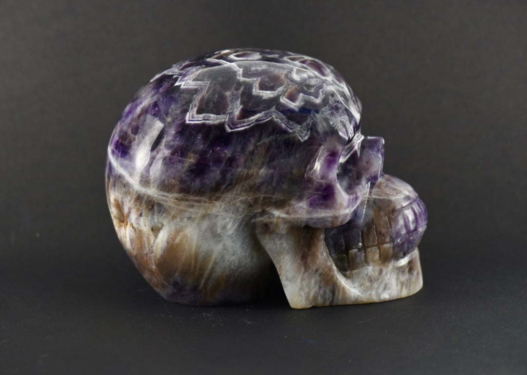 "Askaë" Dream Amethyst Skull