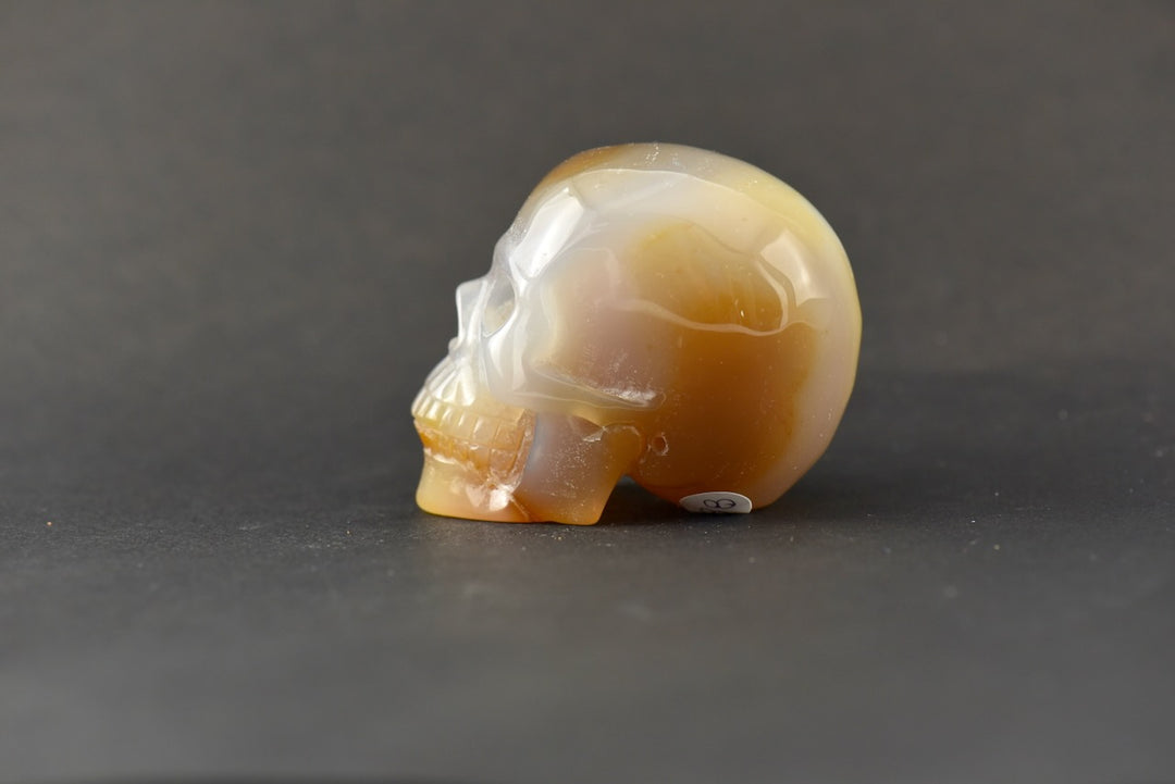 Carnelian Skull
