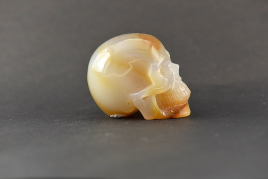 Carnelian Skull