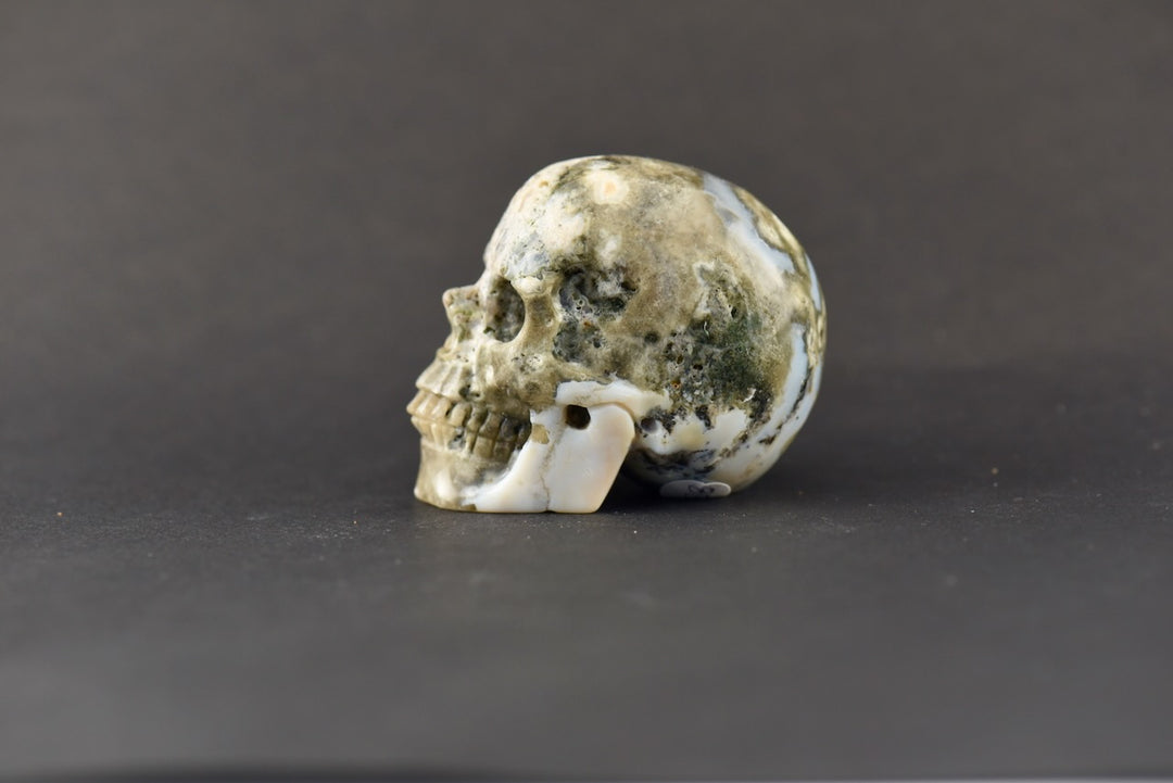 Ocean Jasper Skull