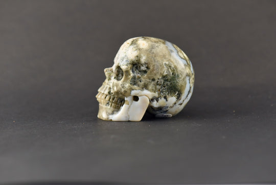 Ocean Jasper Skull