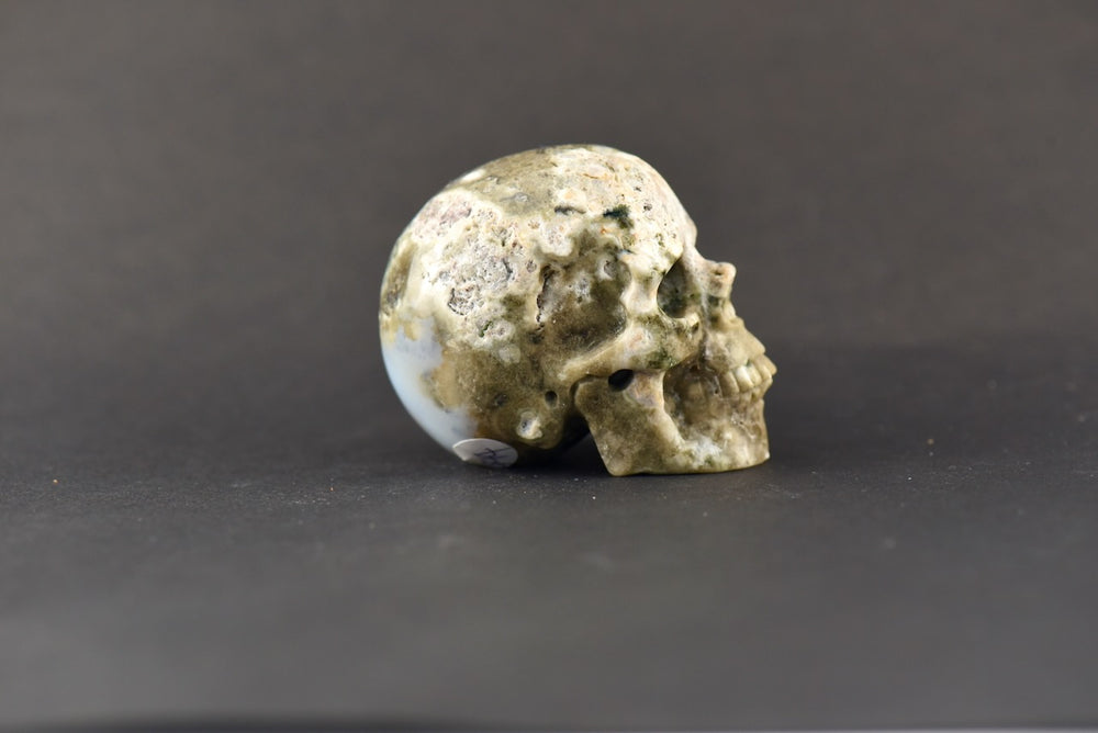 Ocean Jasper Skull