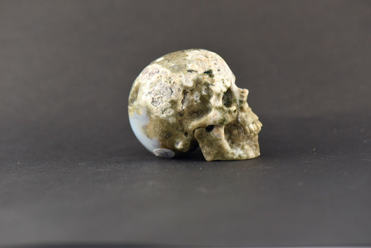 Ocean Jasper Skull