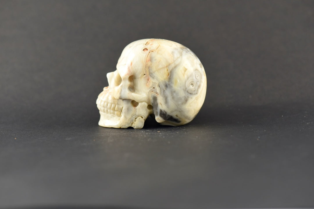 Agate Skull