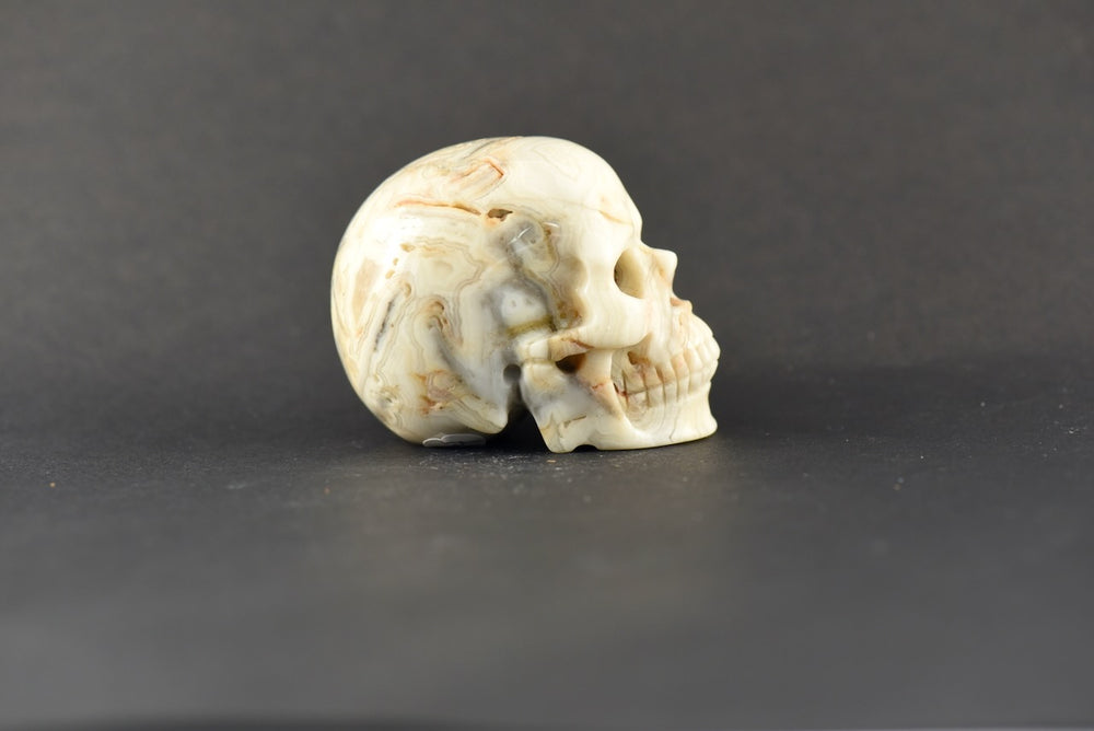Agate Skull