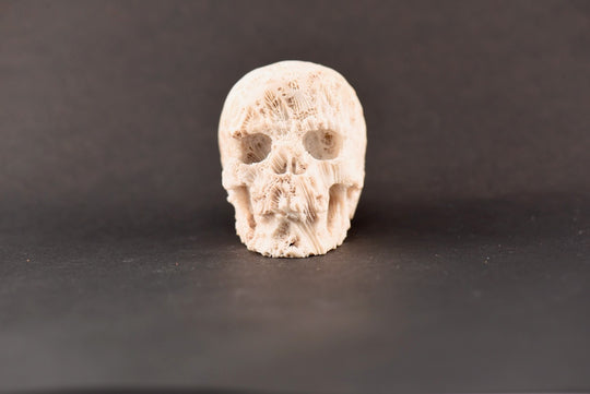 Coral Skull