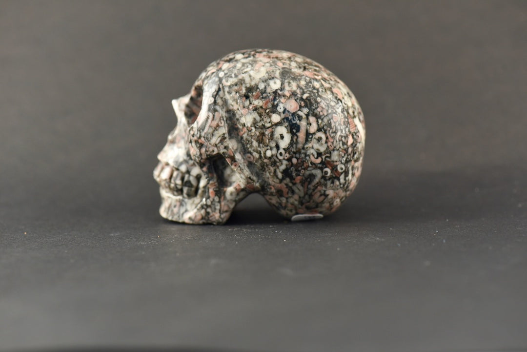 Breccia Jasper Skull