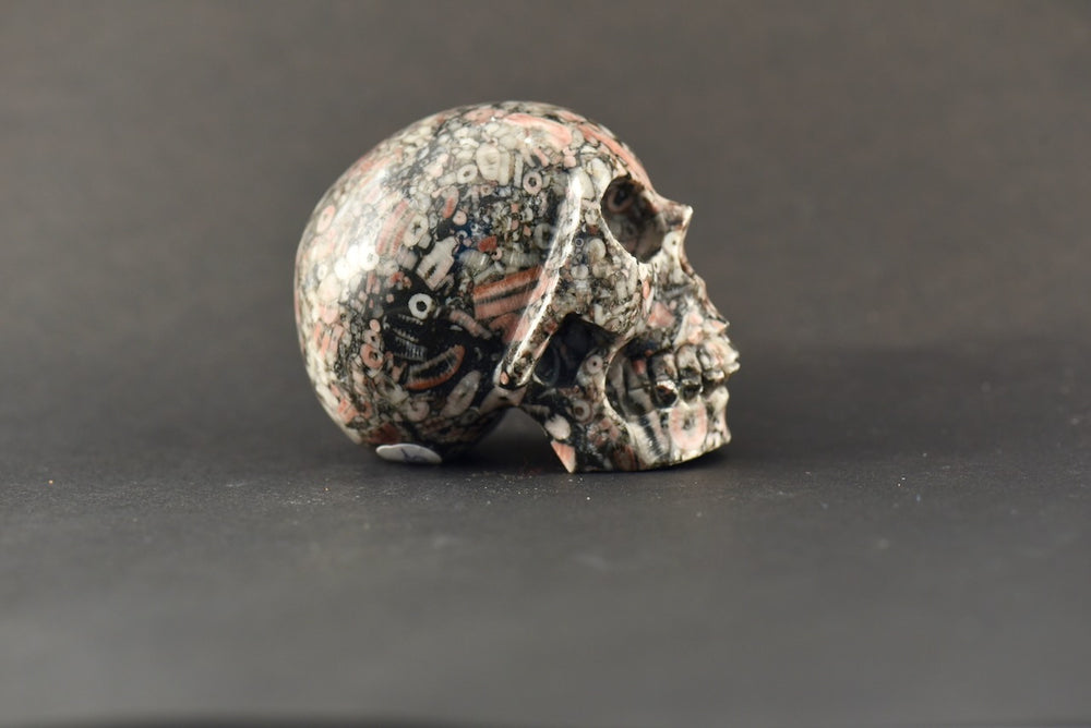 Breccia Jasper Skull