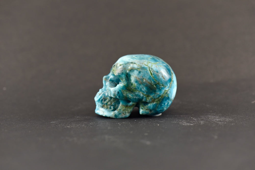 Apatite Skull