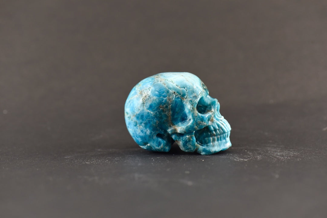 Apatite Skull