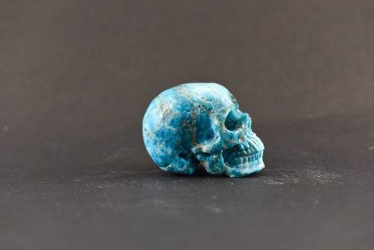 Apatite Skull