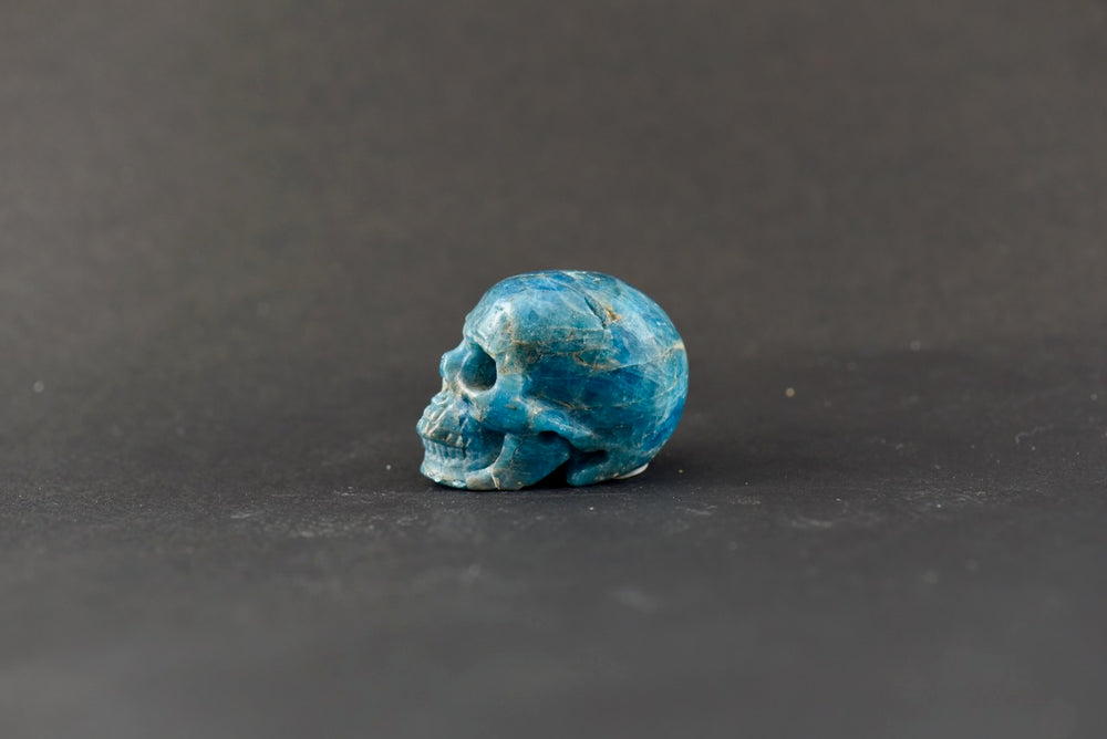 Apatite Skull