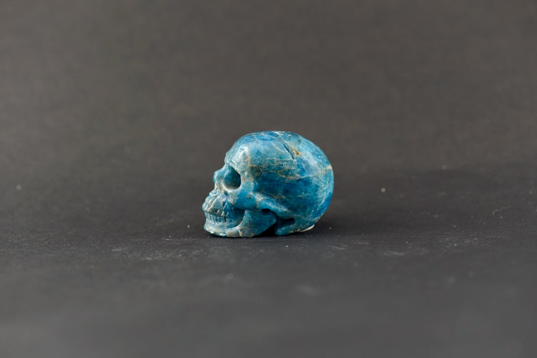 Apatite Skull