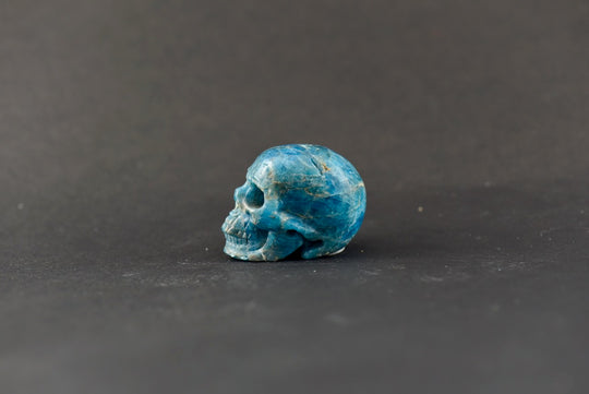 Apatite Skull