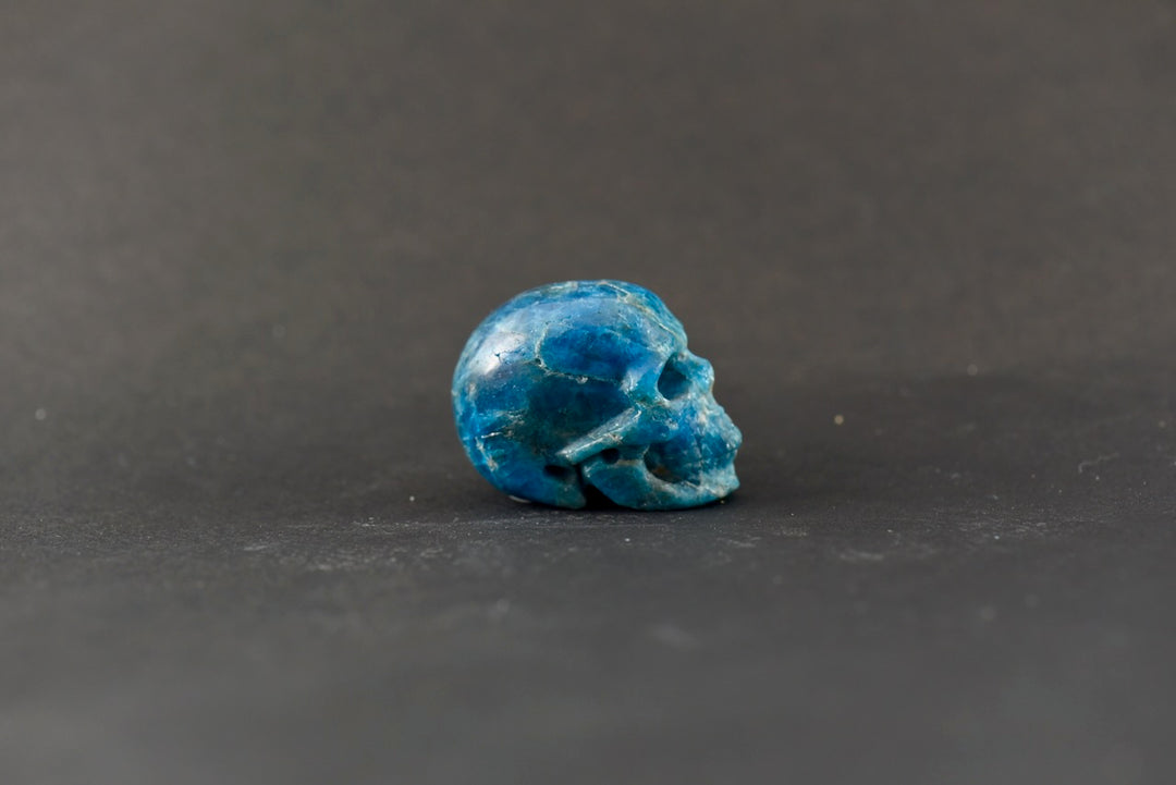 Apatite Skull