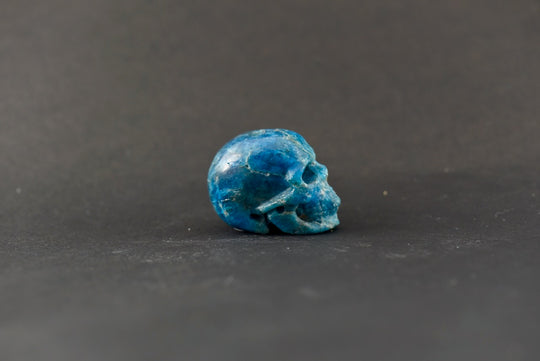 Apatite Skull