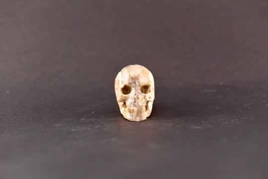 Ocean Jasper Skull