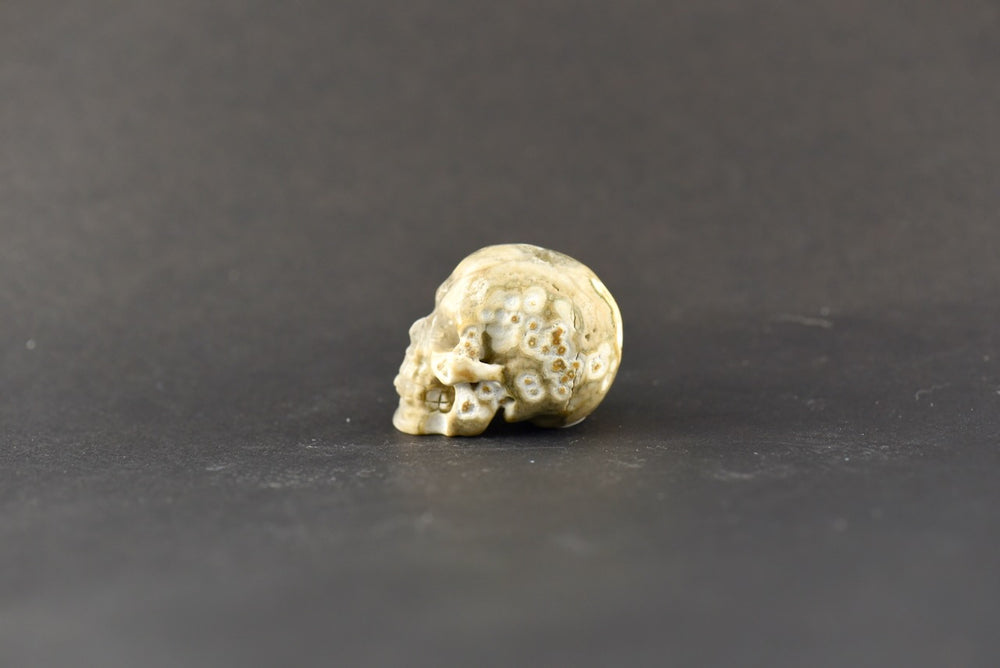 Ocean Jasper Skull