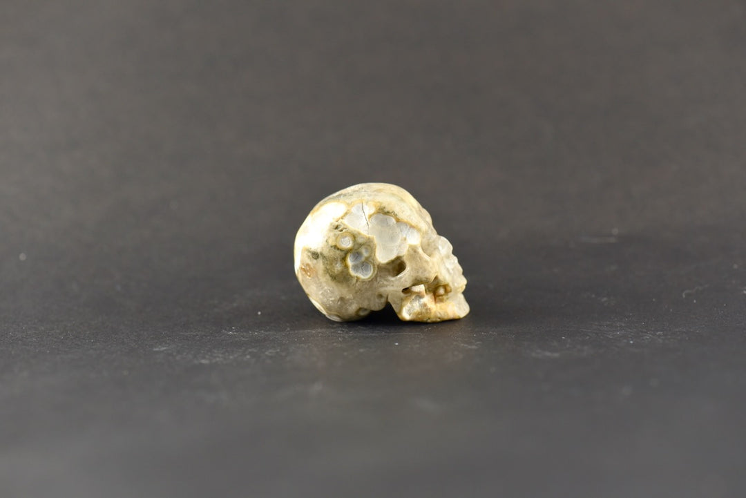 Ocean Jasper Skull