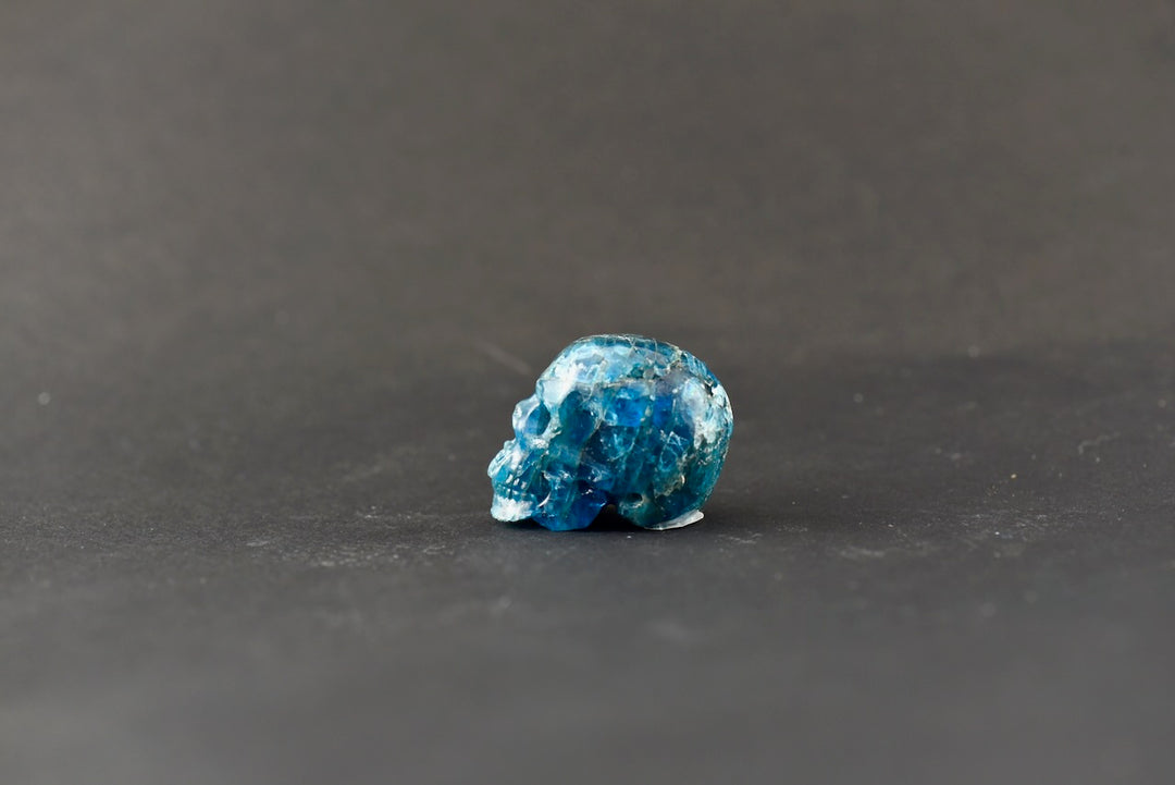 Apatite Skull