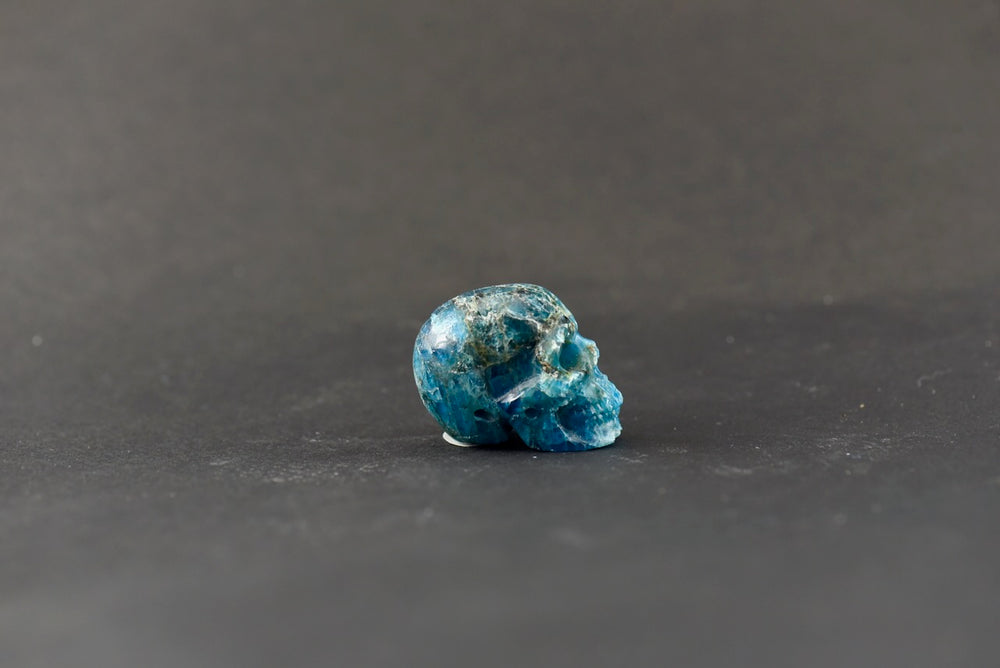 Apatite Skull