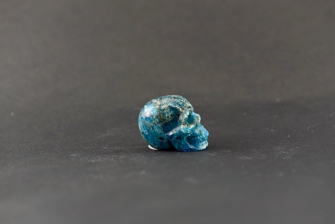 Apatite Skull