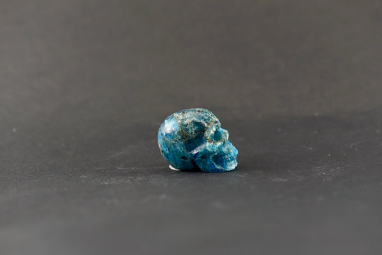 Apatite Skull