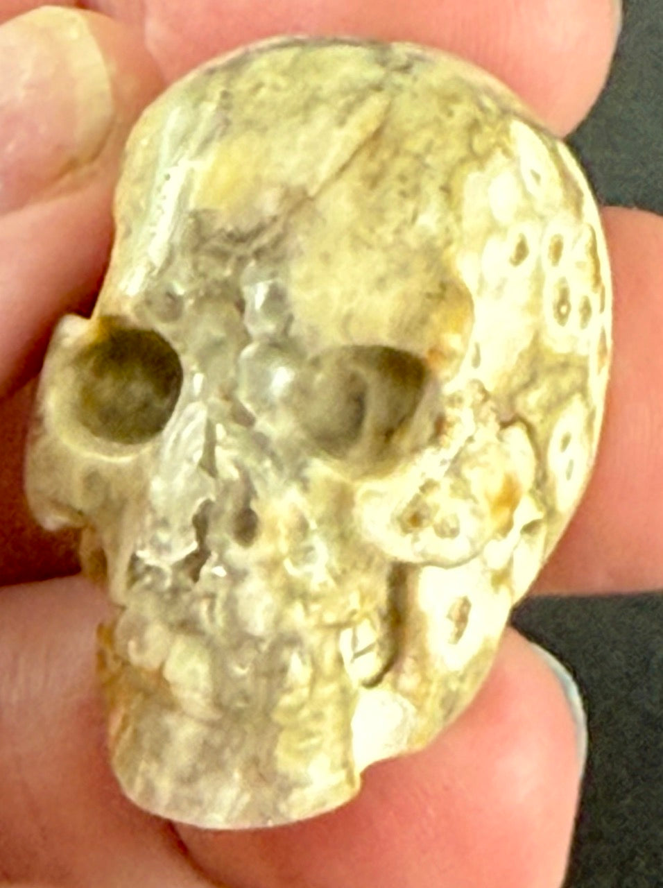 Ocean Jasper Skull